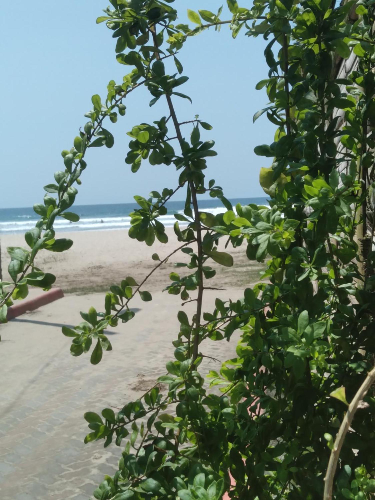 Hostal Casa Taisha Montanita Ngoại thất bức ảnh