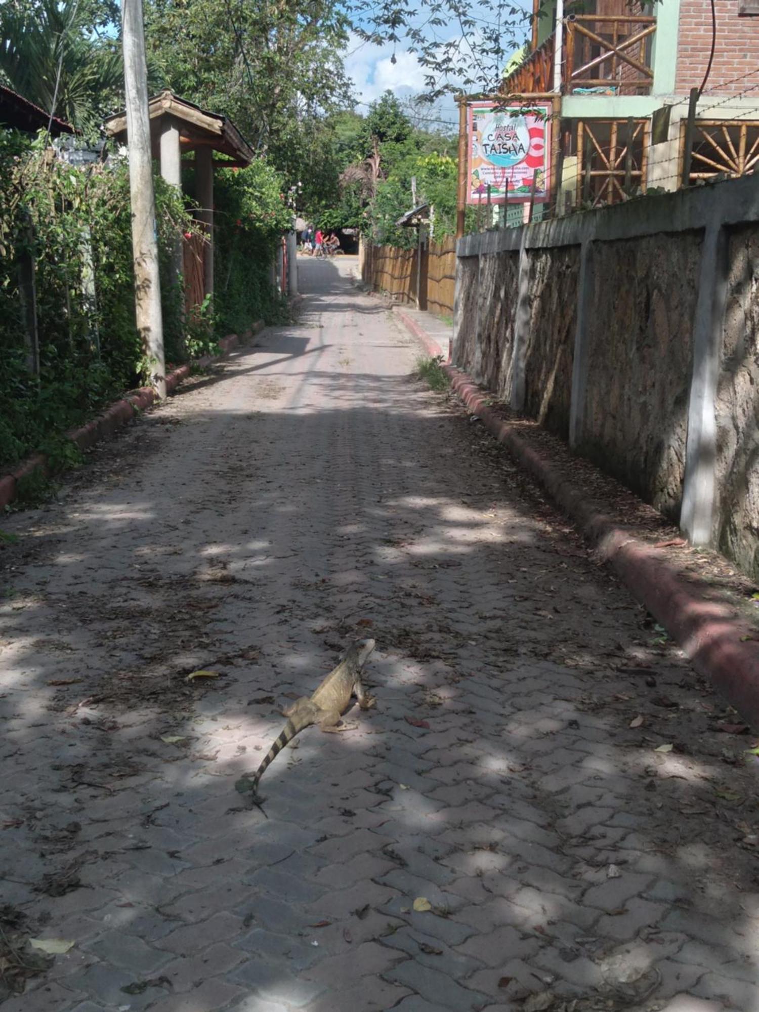Hostal Casa Taisha Montanita Ngoại thất bức ảnh
